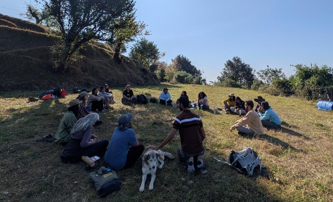 Adventure therapy session outdoors