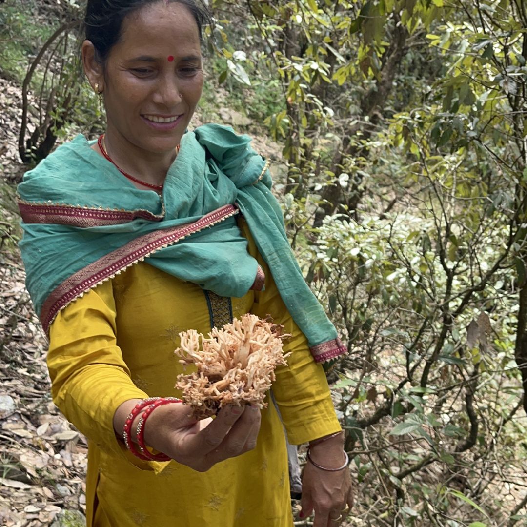 Learning about local flora with hariyali didi
